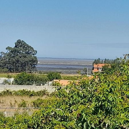 Отель Casa Afonso - Passadicos Do Paco Авейру Экстерьер фото